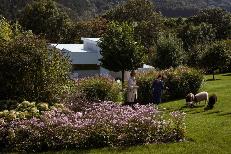 DSC6795 katsey kramer und kramer garten