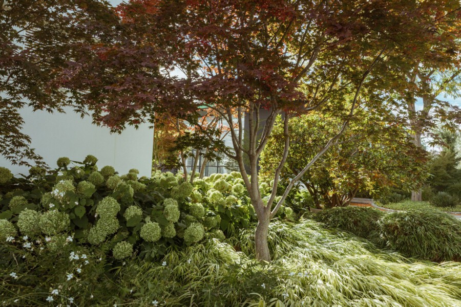 T1 A7022 kramerundkramer gartenarchitektur katsey