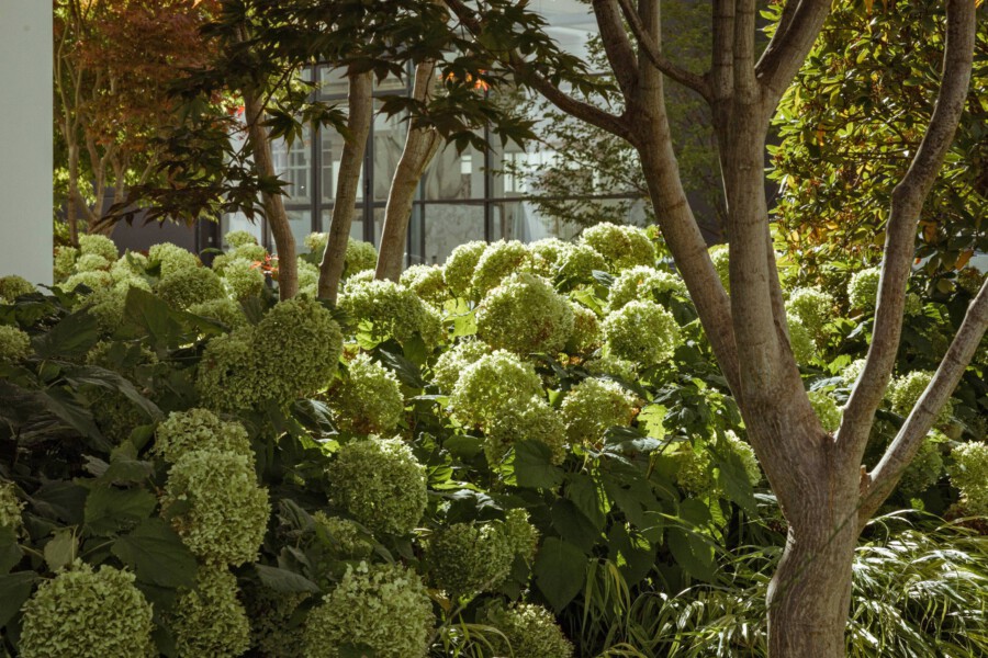 T1 A7023 kramerundkramer gartenarchitektur katsey