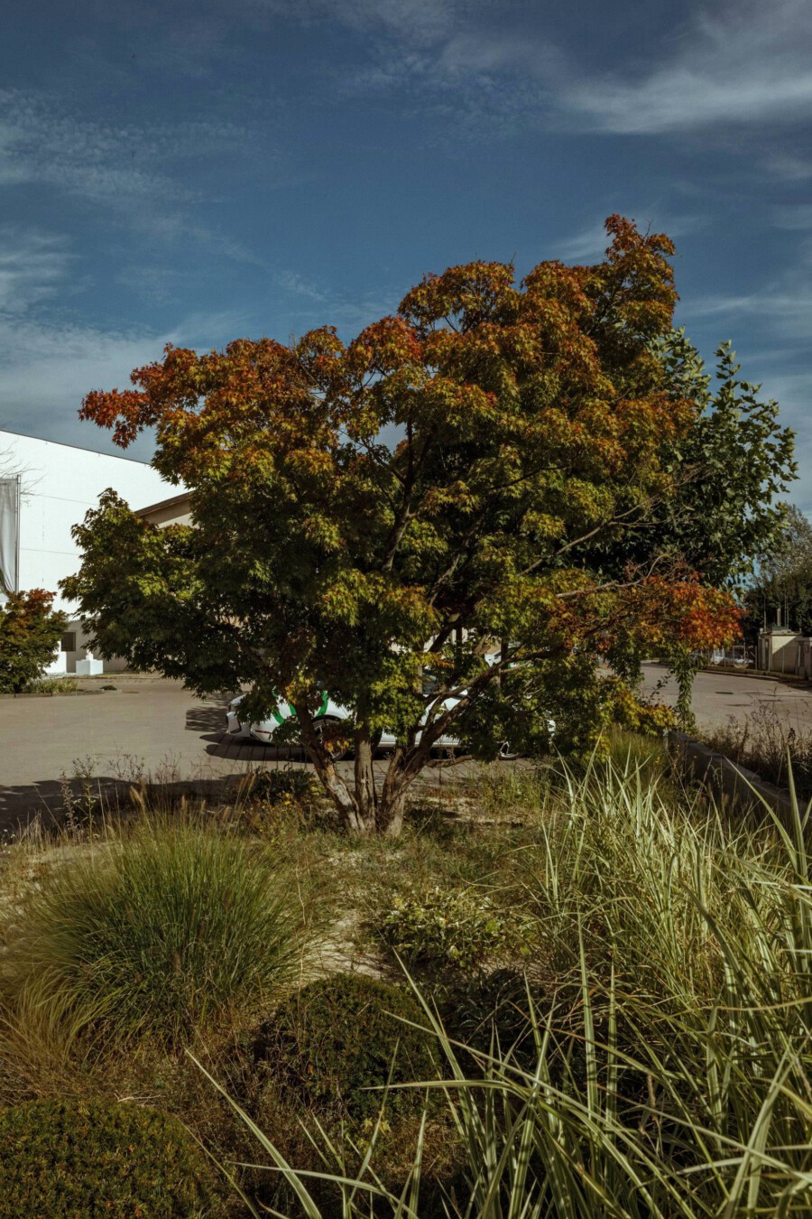 T1 A7133 kramerundkramer gartenarchitektur katsey