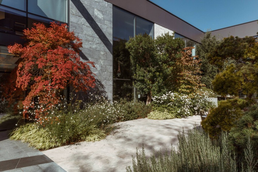 T1 A7326 kramerundkramer garten katsey