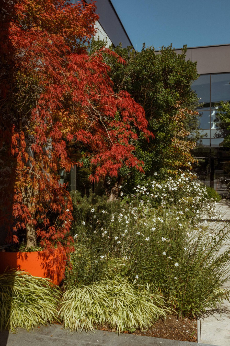 T1 A7387 kramerundkramer gartenarchitektur katsey