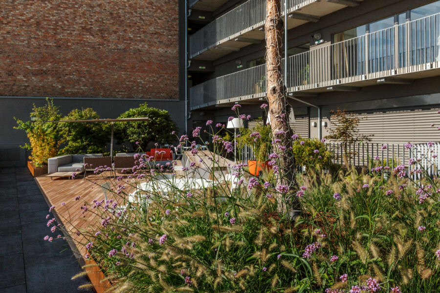X6 A0053 kramer und kramer gartenkatsey