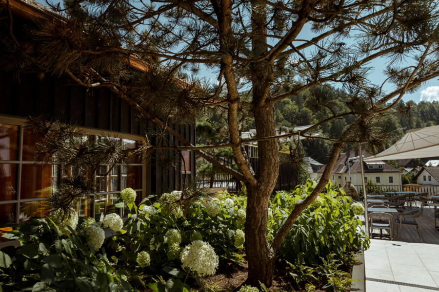 T1 A2445 kramer und kramer gartenkatsey