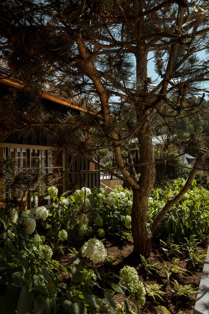 T1 A2446 kramer und kramer gartenkatsey