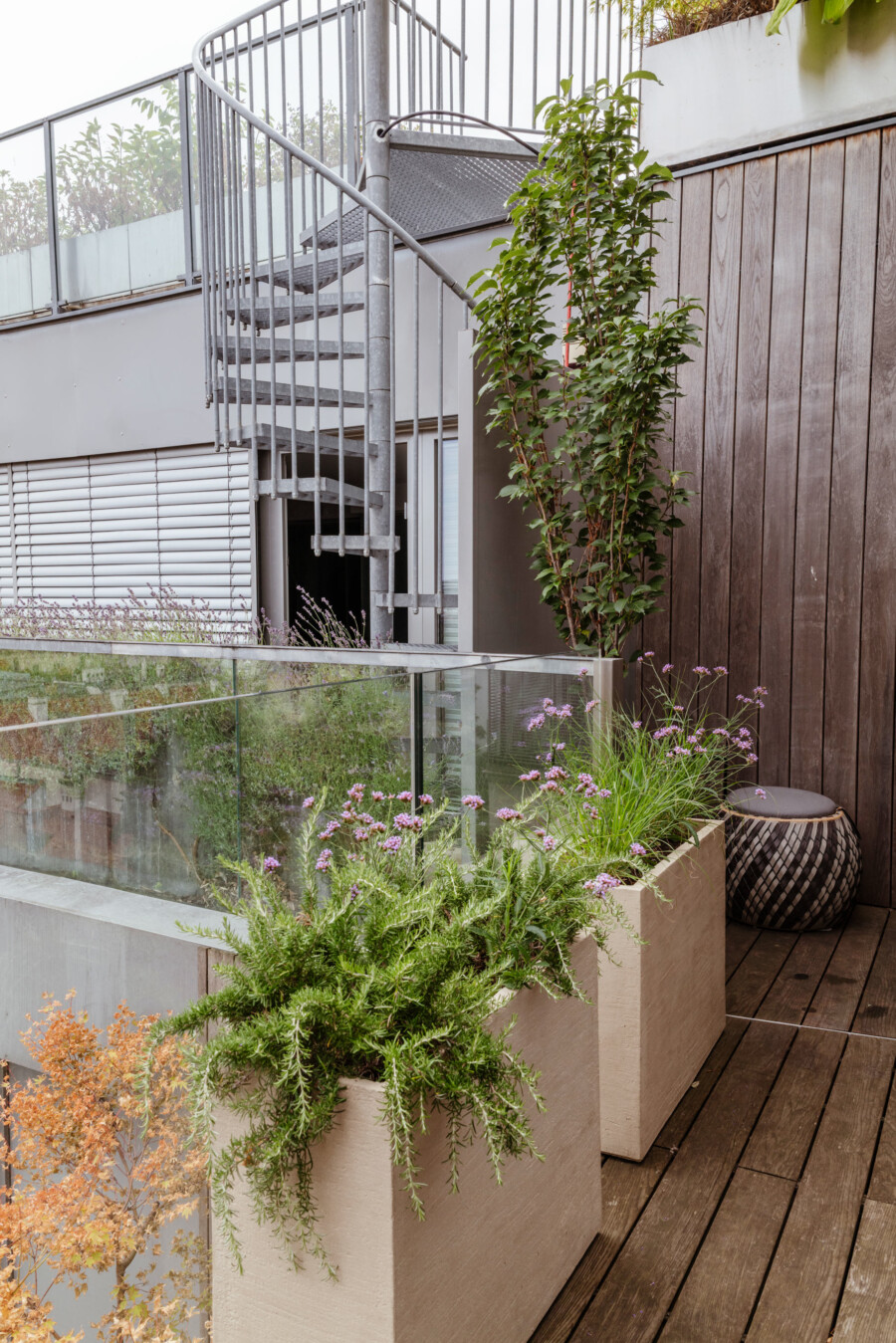 Moderne Dachterrasse mit spiralförmiger Metalltreppe; Pflanzkübel mit Rosmarinus officinalis und Lavandula angustifolia vor Holzverkleidung.