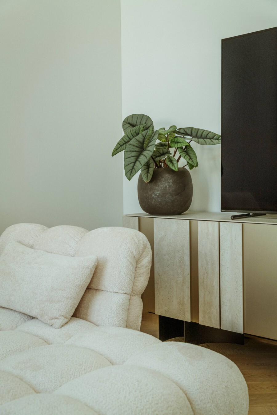 Große Philodendron sp. in dunkler Tonvase auf hellem Sideboard neben Fernseher im Wohnzimmer