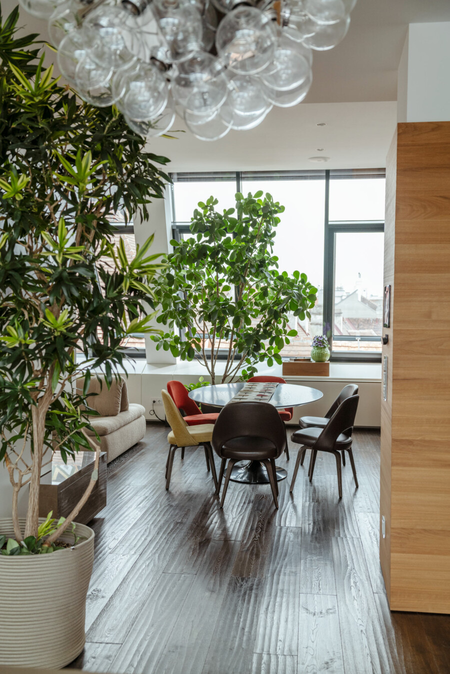 Offener Wohnraum mit Zimmerpflanzen: Dracaena marginata links, Ficus sp. (runde Blätter) am Fenster; Esstisch mit Stühlen, Glaskugel-Lampe darüber.