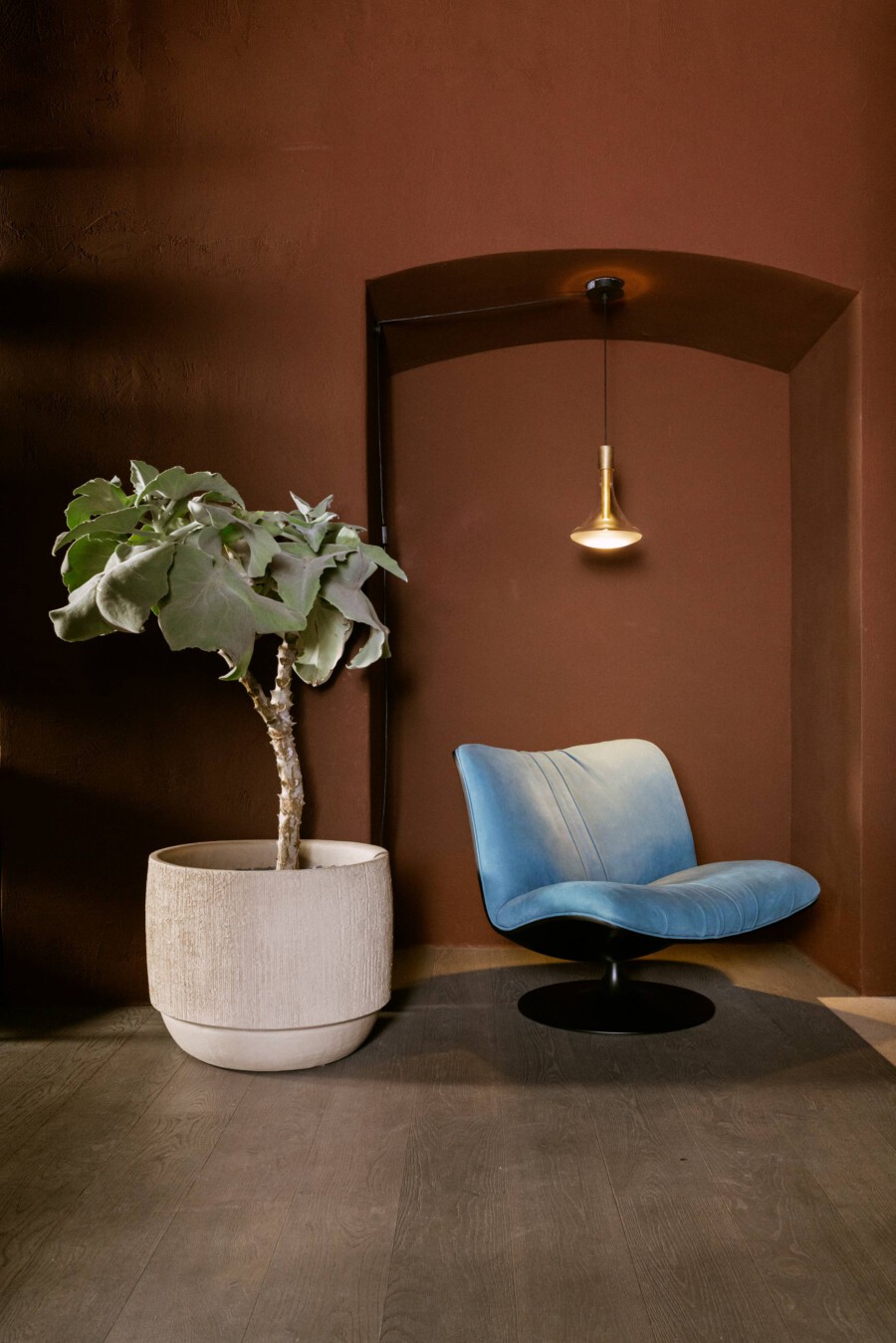Gummibaum (Ficus elastica) im großen Terracotta-Topf neben blauem Lounge-Sessel; warme braune Wand und goldene Pendelleuchte.
