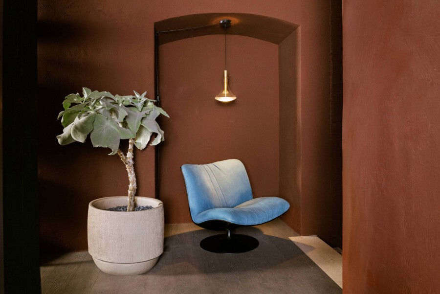 Ficus lyrata im beige-Topf neben blauem Lounge-Sessel in braunem Innenraum mit Pendelleuchte.