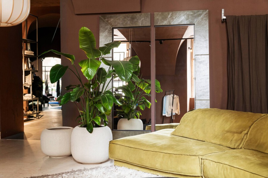 Monstera deliciosa im weißen Keramiktopf vor großem Spiegel; gelbes Sofa im Wohnzimmer.