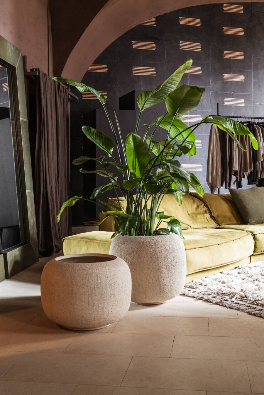 Monstera deliciosa-Pflanze im hellen Topf vor dunkler Wand; Kleiderstangen mit Mänteln und senfgelbes Sofa.