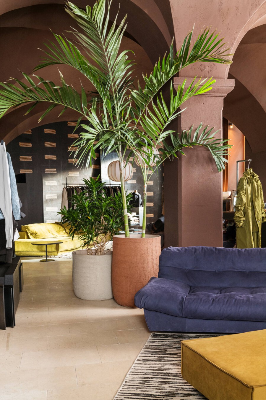 Dypsis lutescens (Areca-Palme) im Innenraum in Töpfen vor braunen Bögen.