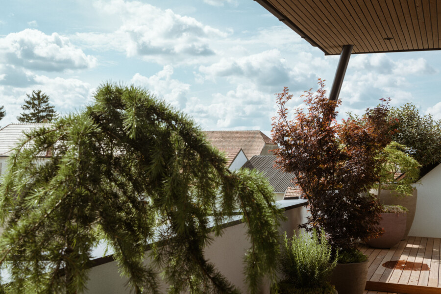 Balkon mit Holzdecke und Holzboden, Pflanzkübel mit grünen Bäumen; vorn eine grüne Koniferenpflanze, rechts ein rötlich gefärbter Baum, Dächer und blauer Himmel mit Wolken.
