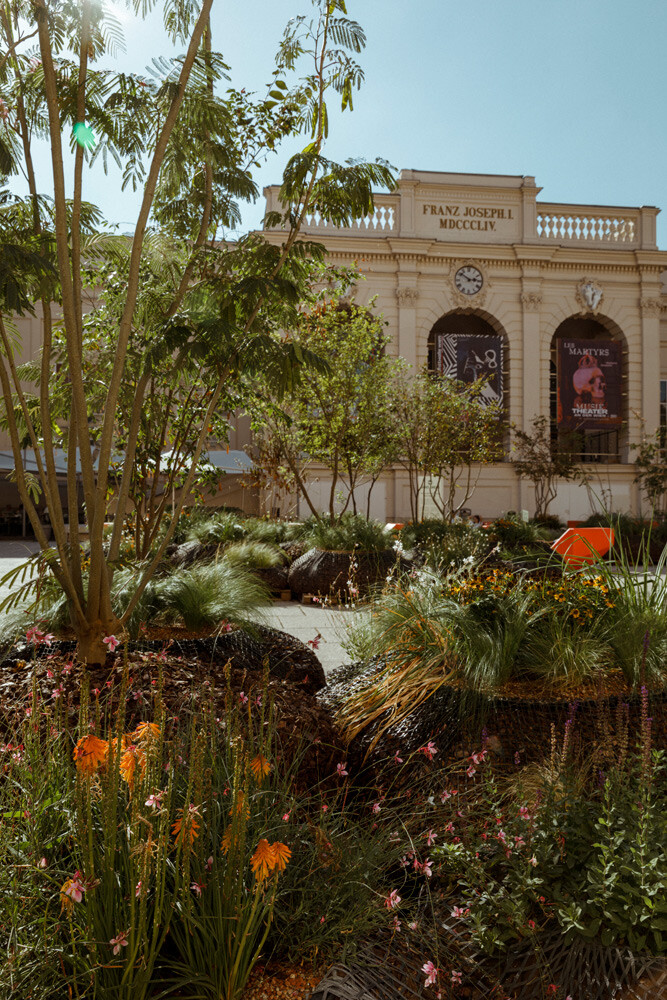 T1 A8422 kramer und kramer gartenkatsey