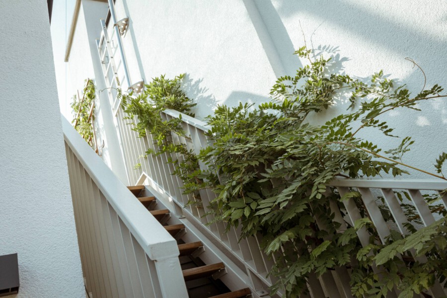 T1 A6609 kramer und kramer garten katsey