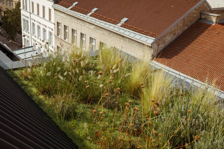 T1 A6677 kramer und kramer garten katsey