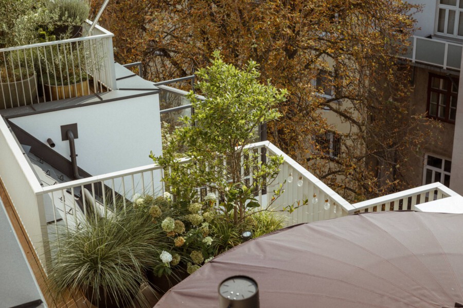 T1 A6683 kramer und kramer garten katsey