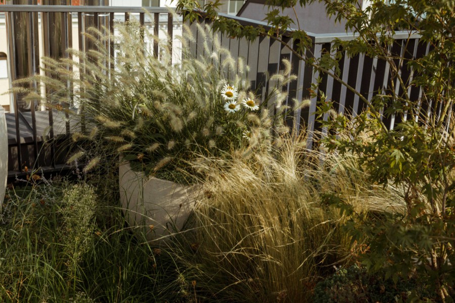 T1 A6696 kramer und kramer garten katsey