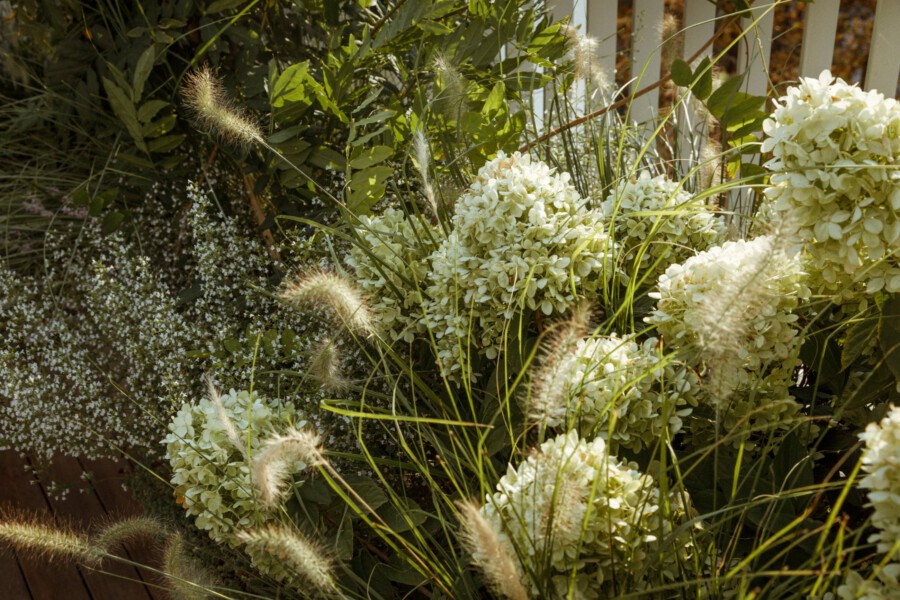 T1 A6757 kramer und kramer garten katsey