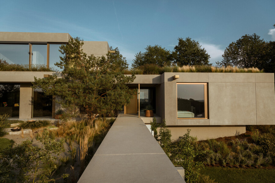 DSC6654 kramer und kramer garten katsey