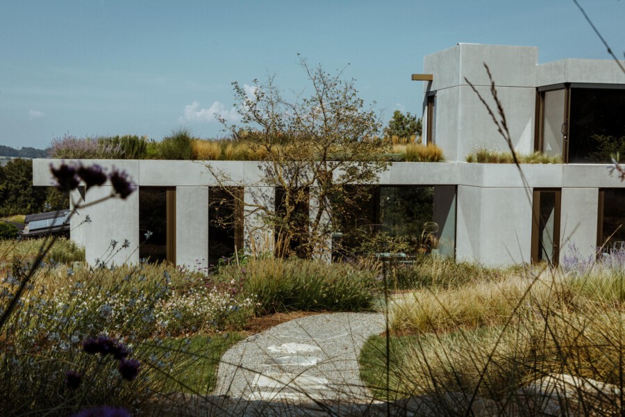Moderne graue Betonvilla mit großen Glasfronten, flachem Dachgarten voller Gräser, zentraler Baum, kurviger Kiesweg und Blumen im Vordergrund.
