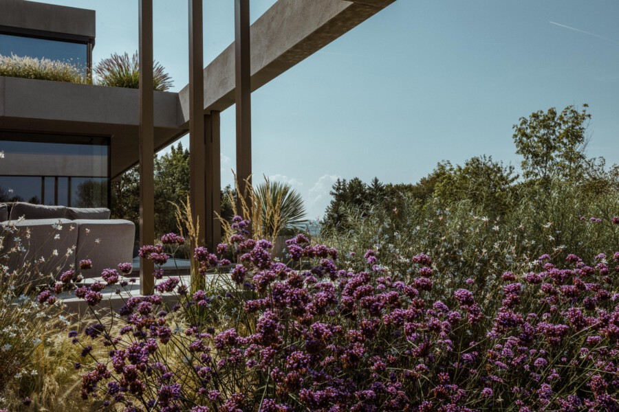 T1 A0872 kramer und kramer garten katsey