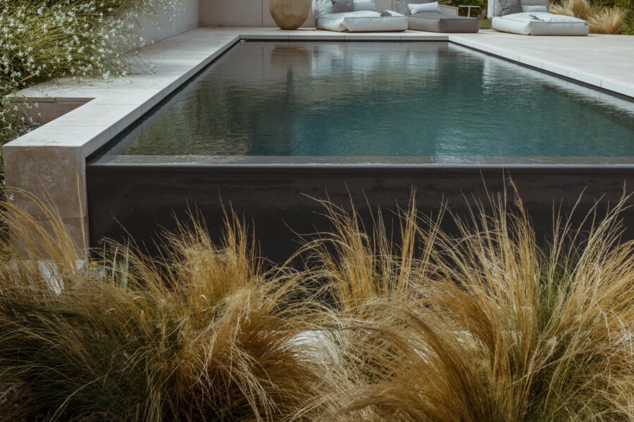 Modern rectangular pool with dark water and light stone deck; white cushioned loungers in the background, framed by tan ornamental grasses.