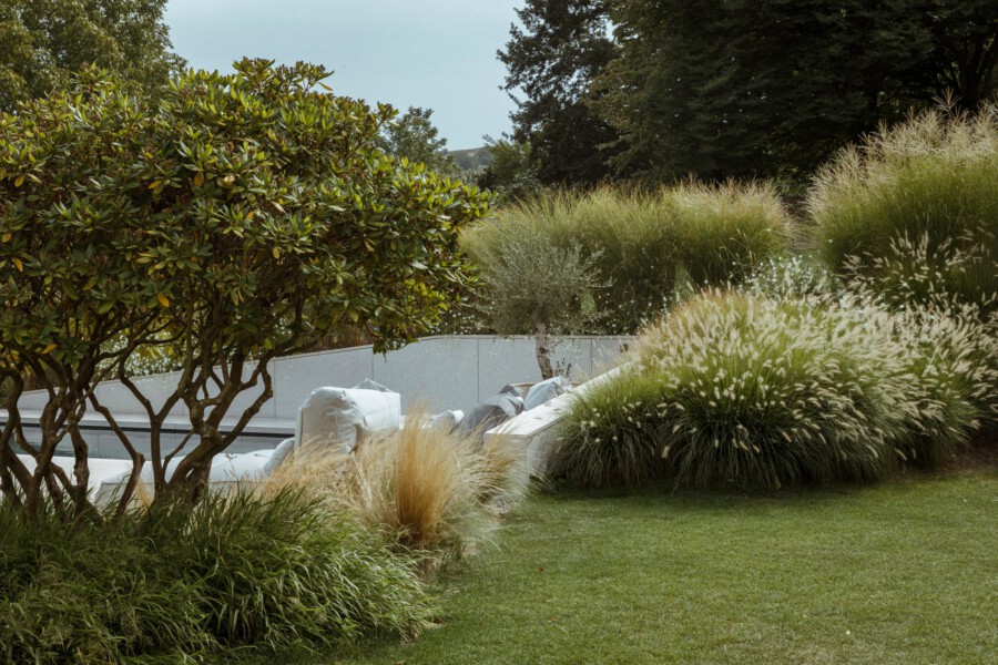 Lush garden with a twisting-trunk shrub on the left, tall ornamental grasses, white bags by a white wall, and a green lawn in the foreground.