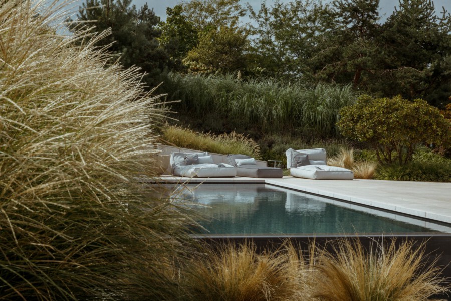Rectangular pool with a light-colored deck, gray cushioned lounge chairs, and lush ornamental grasses and trees surrounding a tranquil backyard.