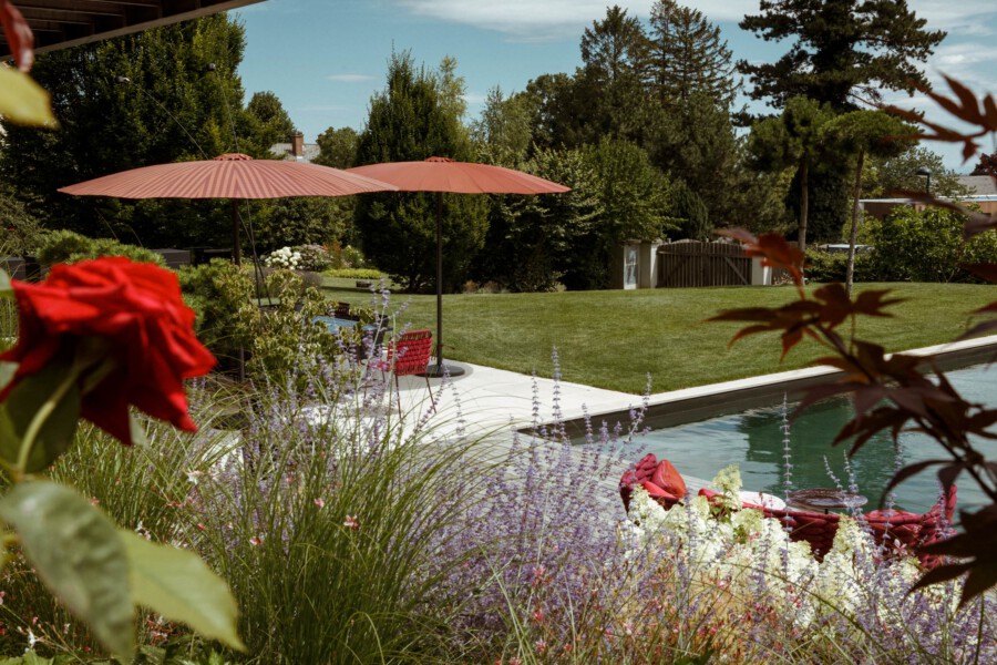 T1 A6821 kramer und kramer garten katsey