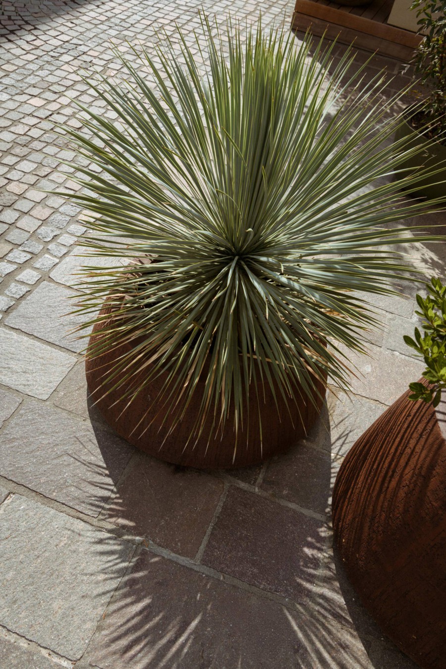 DSC2183 kramerundkramer gartenarchitektur katsey