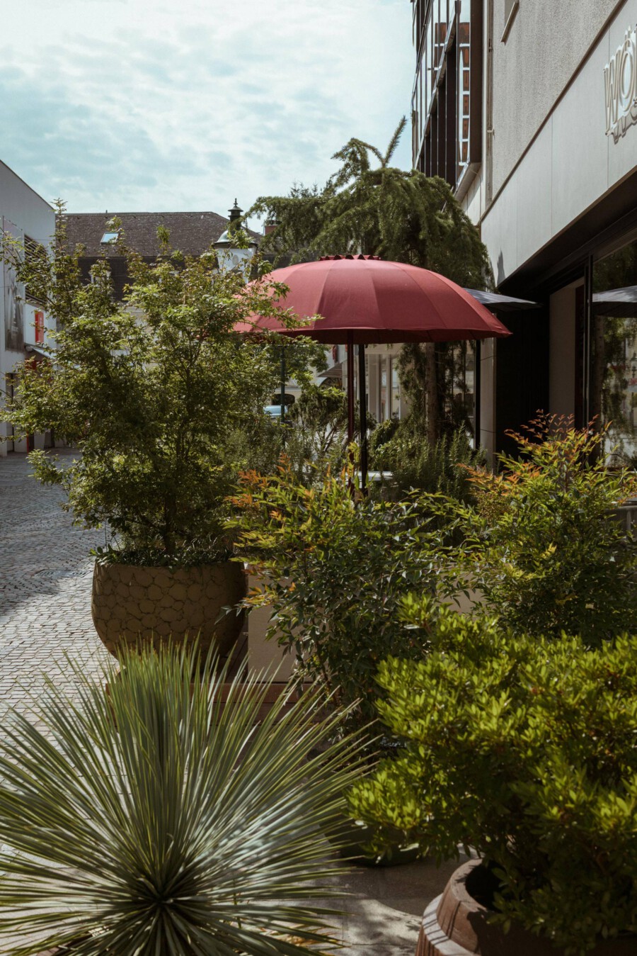 DSC2187 kramerundkramer gartenarchitektur katsey