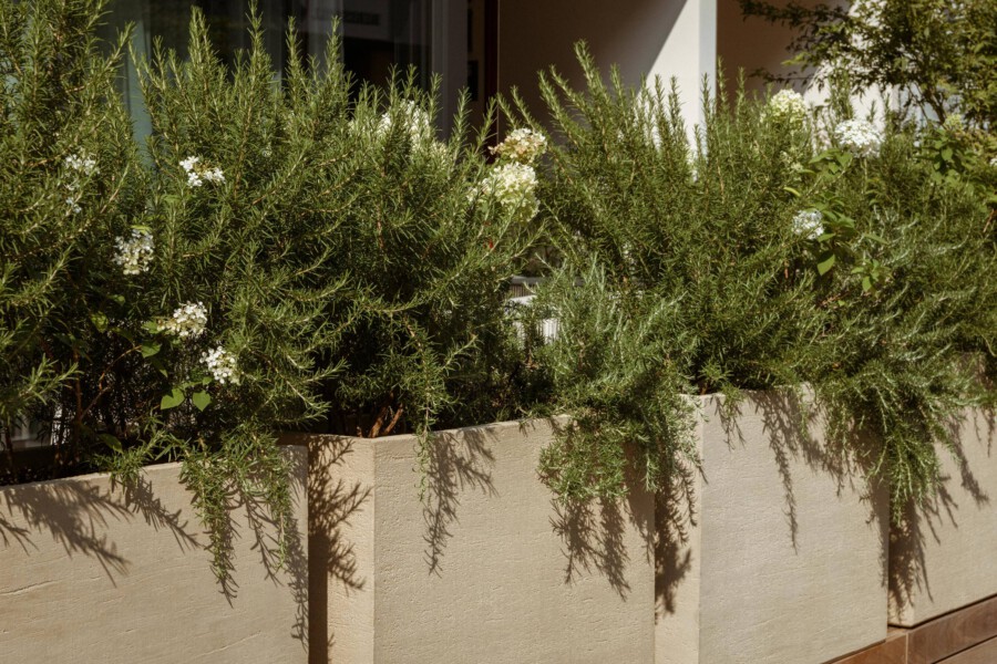 DSC2207 kramerundkramer gartenarchitektur katsey