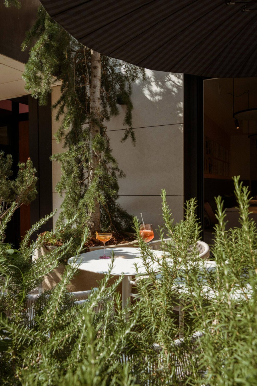 DSC2217 kramerundkramer gartenarchitektur katsey