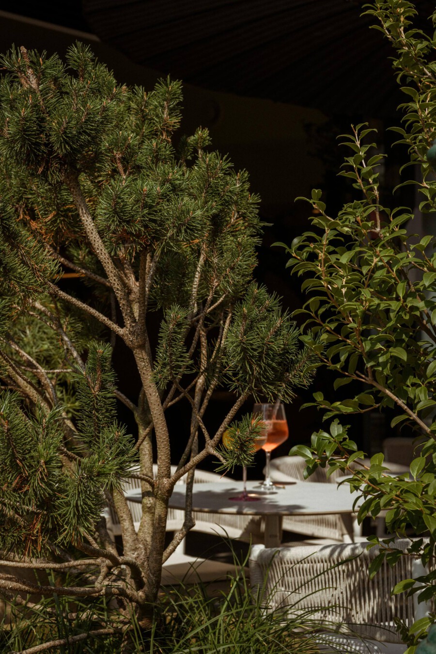 DSC2235 kramerundkramer gartenarchitektur katsey