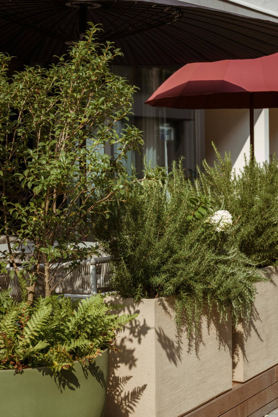 DSC2242 kramerundkramer gartenarchitektur katsey