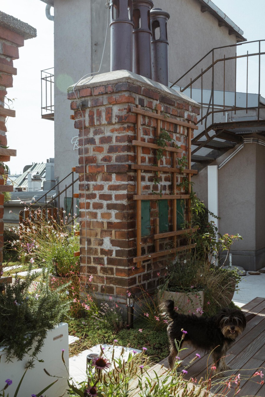 T1 A6616 kramerundkramer gartenarchitektur katsey