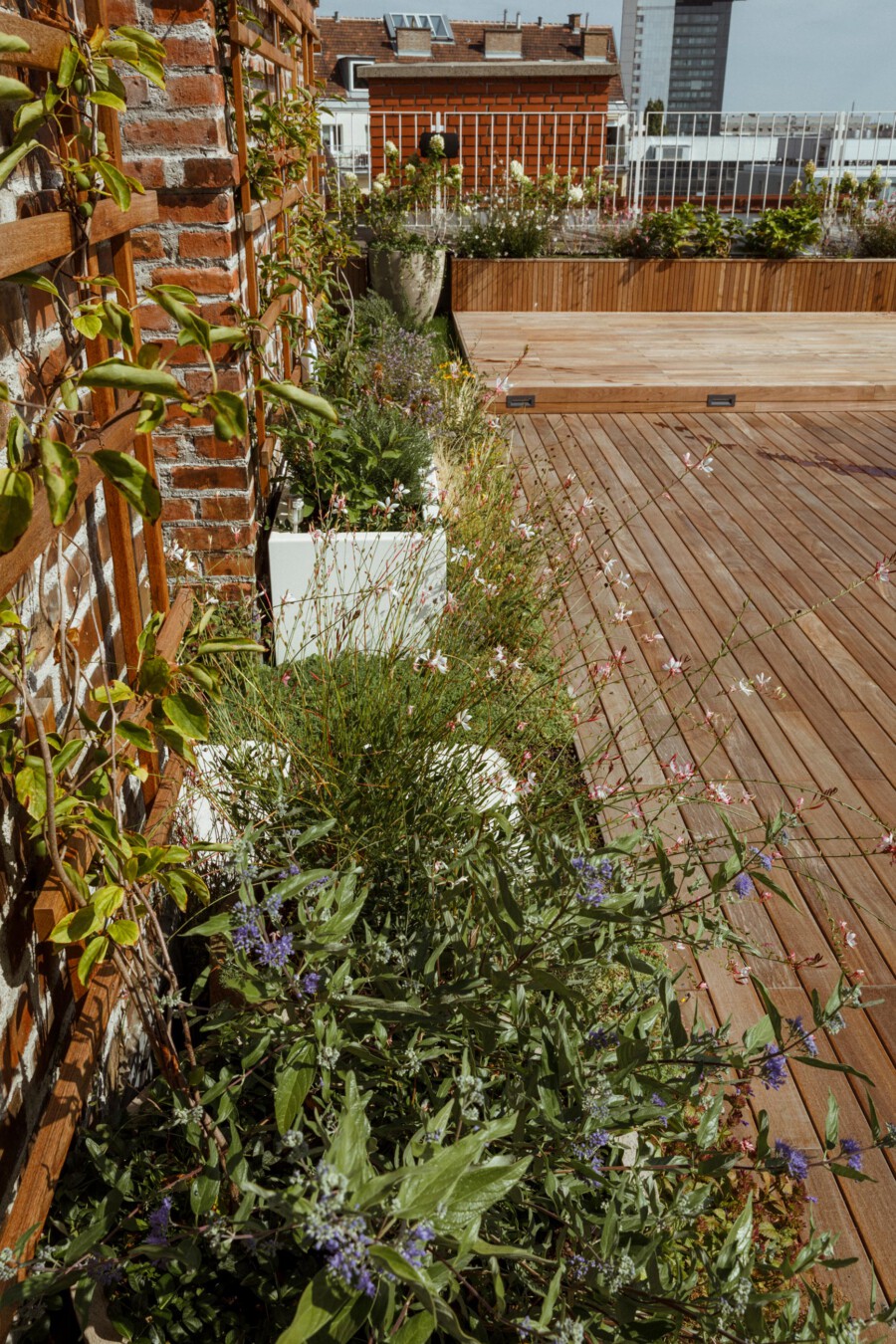 T1 A6660 kramerundkramer gartenarchitektur katsey