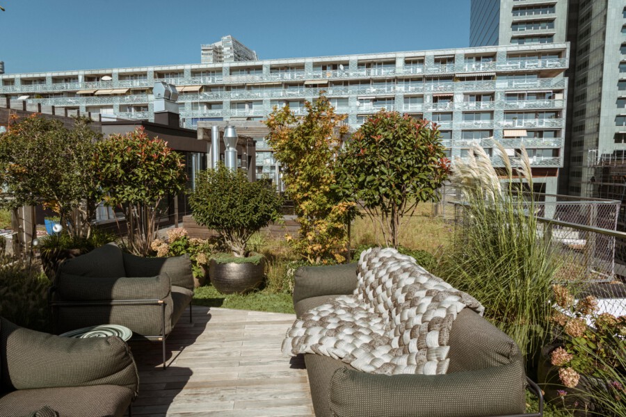 Rooftop garden lounge with dark woven sofas, a chunky knit cream-gray blanket, potted trees, grasses, and a building in the background.