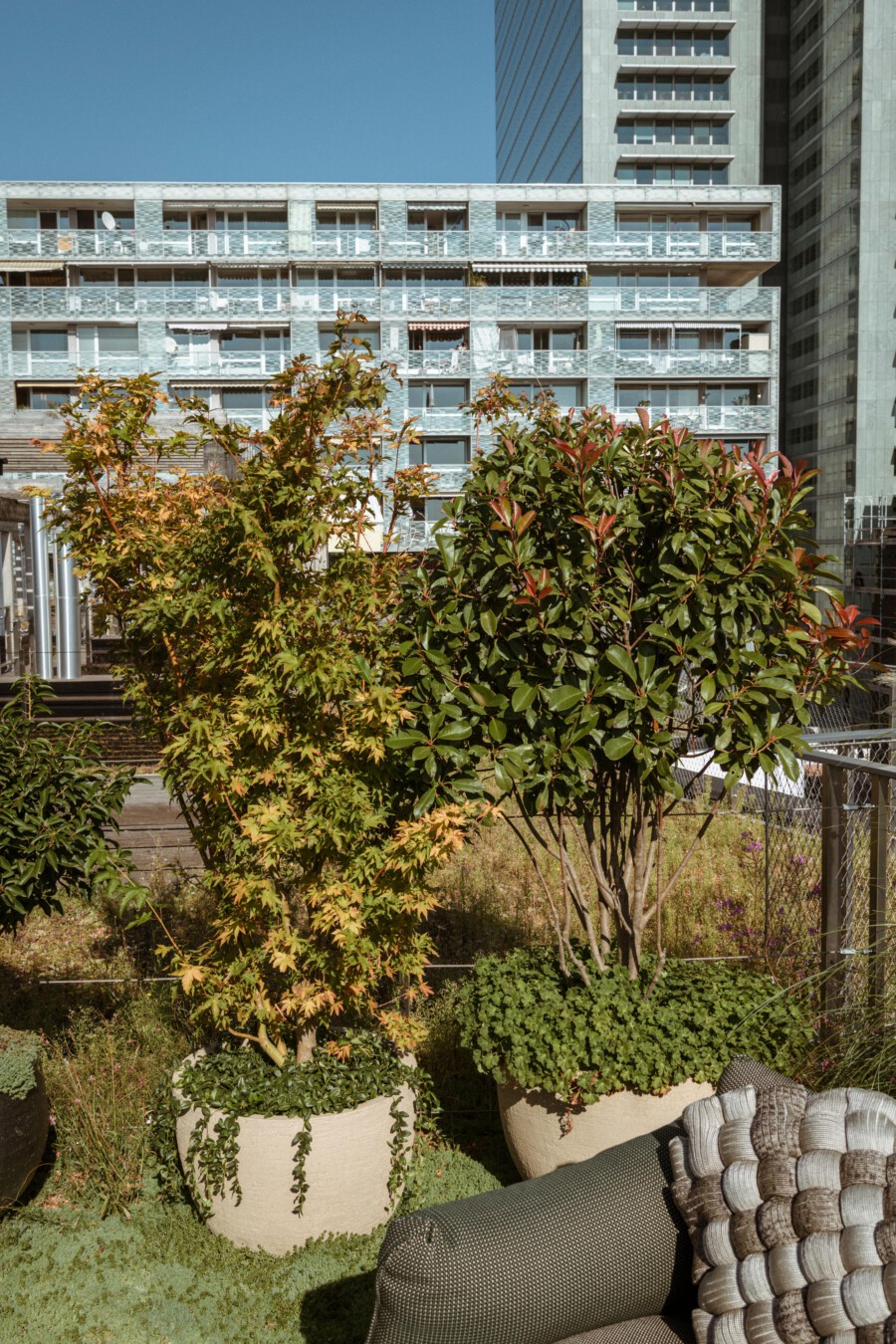 DSC8661
