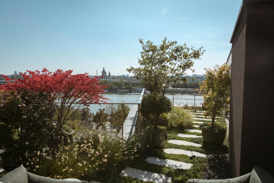 Rooftop garden with a red flowering shrub, green trees, and stepping-stone path along a railing, overlooking a river and distant city skyline.
