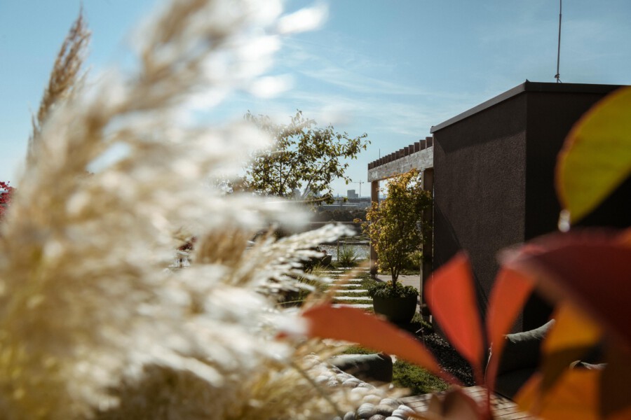 Sunny outdoor courtyard with a dark textured wall, a wooden pergola, and potted trees; blurred grasses frame foreground, with water and distant cityscape.