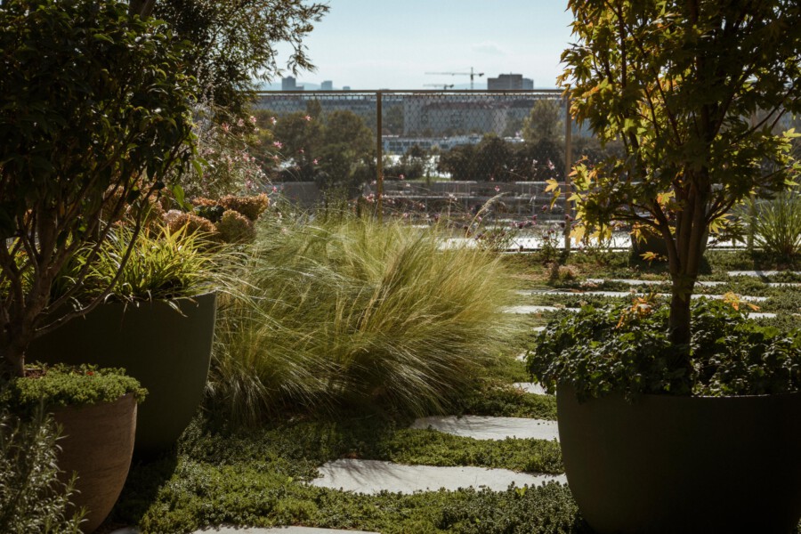 Rooftop garden with planters, tall grasses, and low ground cover; stepping stones lead to a chain-link fence overlooking a distant city skyline.