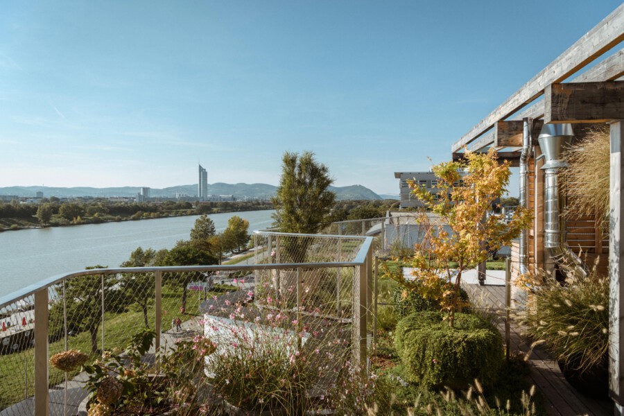 Rooftop terrace with metal railing and potted plants overlooks a river and distant city skyline, with a modern building and autumn trees on the right.