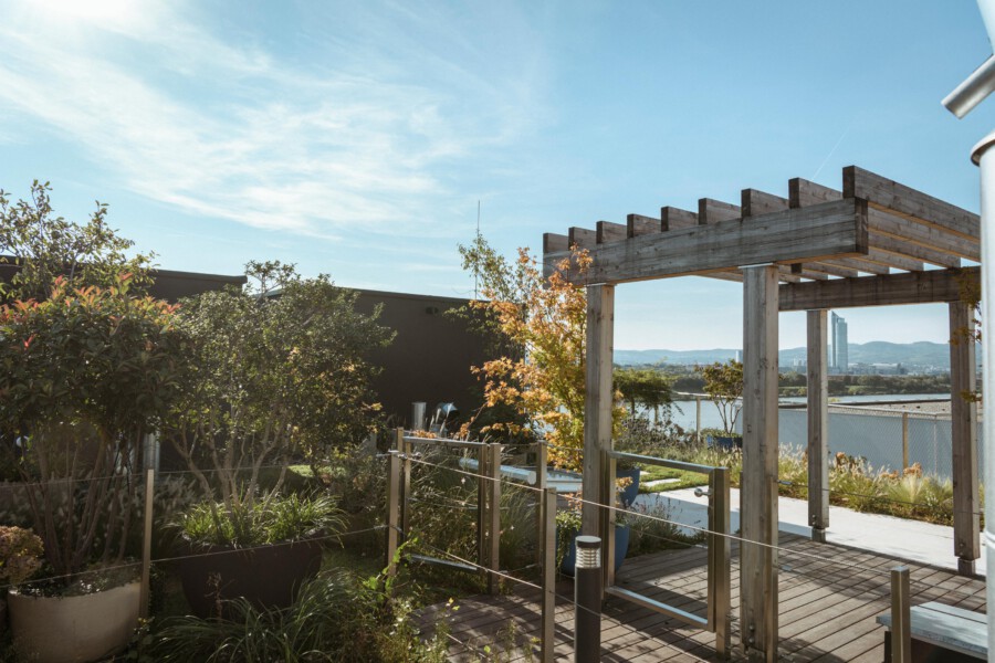 Rooftop garden with a wooden pergola, potted plants and shrubs, and a view of water and distant city buildings beneath a clear blue sky.