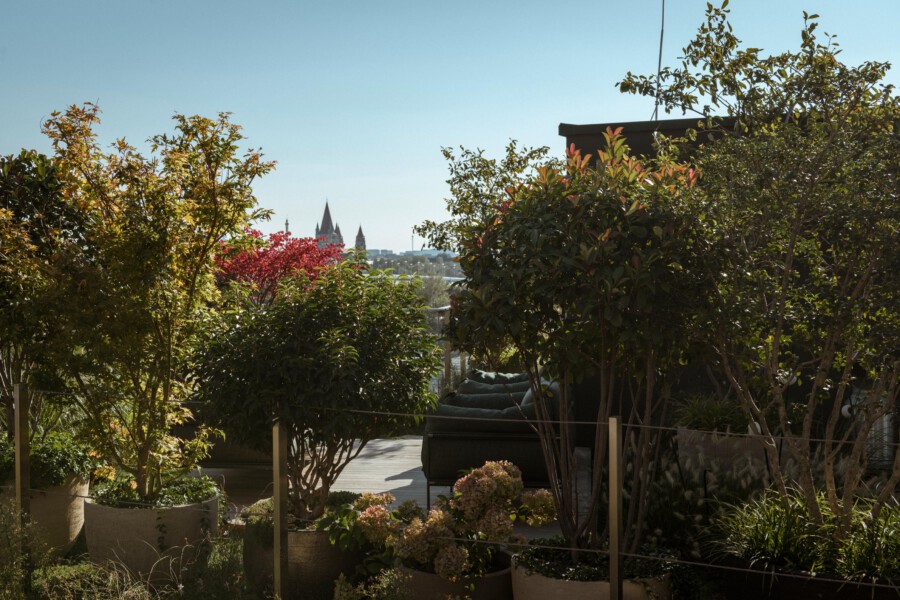 Rooftop garden with potted trees and shrubs, a seating area, and a distant city skyline with church spires under a clear blue sky.