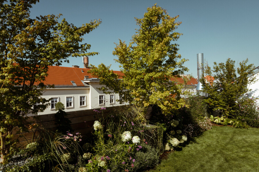 T1 A8094 kramer und kramer garten katsey