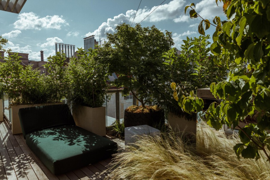 Rooftop terrace with a dark-green lounge chaise among potted shrubs and ornamental grasses (Pennisetum setaceum); city skyline in background.