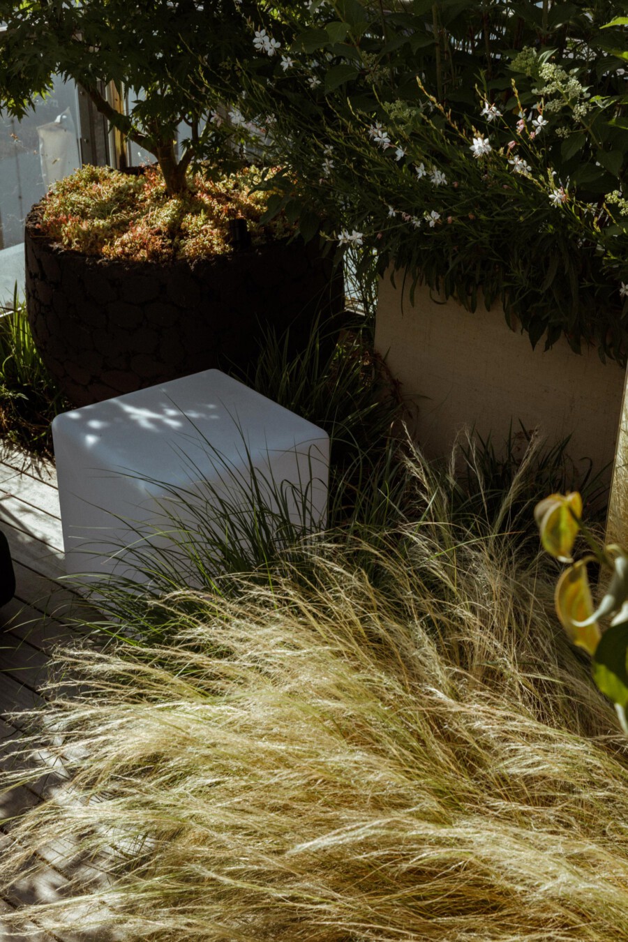 Beige Calamagrostis x acutiflora grasses in foreground; white cubic stool on wooden deck; planters with white flowering shrub and small tree.